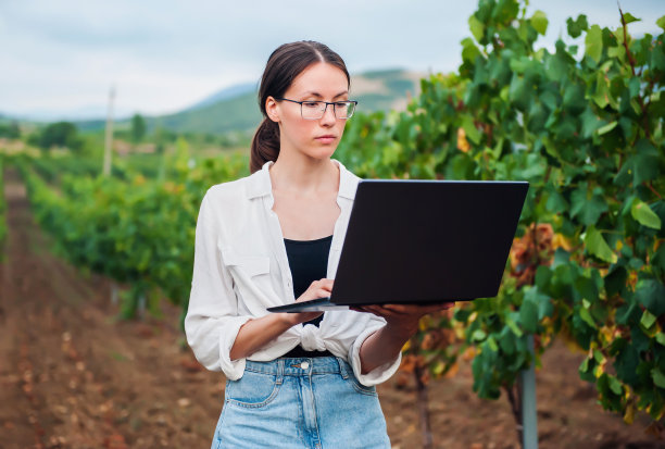 在葡萄园的背景下，一位少女酿酒师用手提电脑检查葡萄的质量图片下载