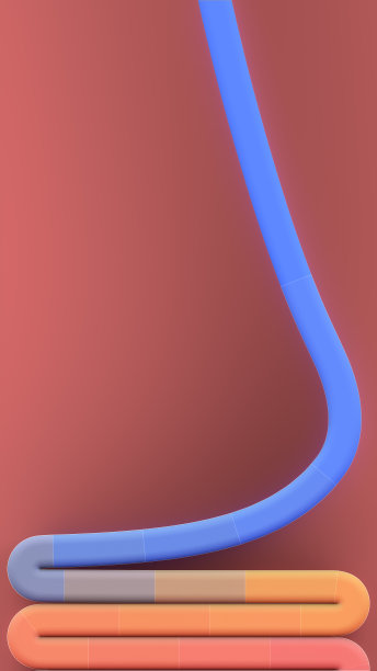 多彩多色线。现代弯弯曲曲的抽象流动。时尚背景设计。三维渲染数字插图图片下载