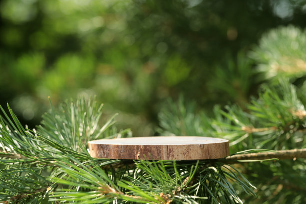 在云杉、松树的枝头上放着一块圆形的雕花木板，一个东西的支架，一个化妆品的讲台。美丽多汁的草木丛中。高质量的照片。图片下载