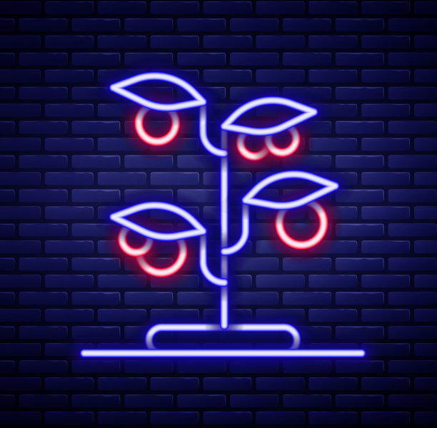 发光的霓虹灯线芽图标孤立的砖图片下载