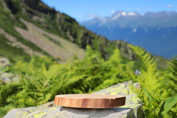 可以看到山的石板平台。商品展柜:有陈列商品舞台的前展柜台座:展示商品的台座高质量的照片图片下载