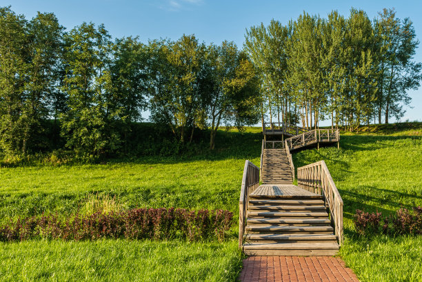 风景如画，有田野和树木的多层木栈道。夏天日落前的傍晚。自然环境背景图片下载