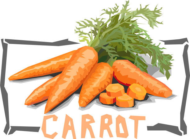 简单的胡萝卜图片下载