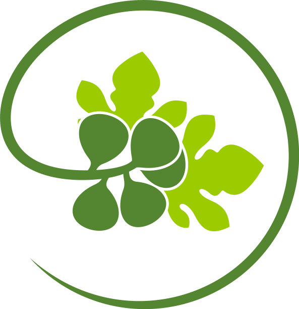 无花果图片下载