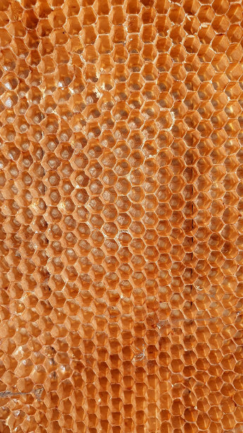 蜂窝特写。网状的六边形。图片下载