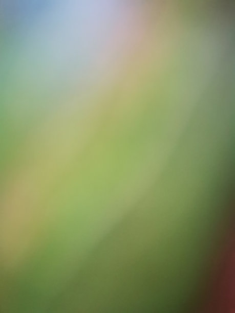 绿叶:由叶子形成的绿色渐变图片下载