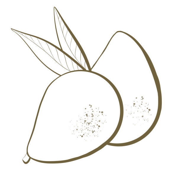 插画轮廓线素描绿色食用果树安barella或波利尼西亚梅树特写设计元素自然风格包装图片下载