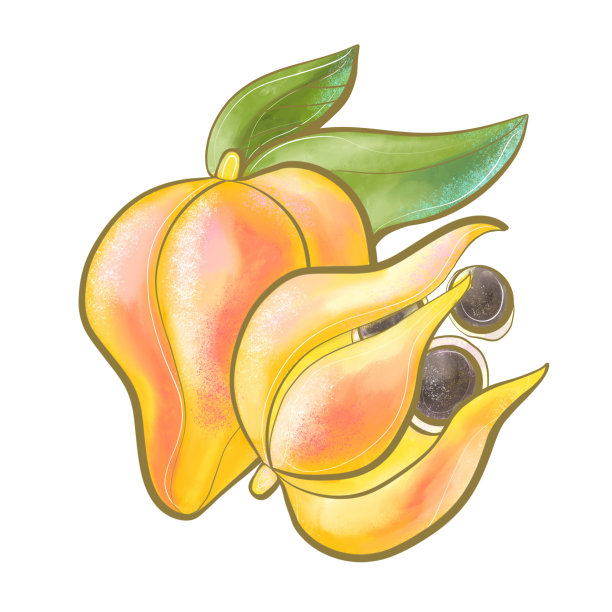 插画颜色橙色可食用的国家牙买加水果aki近距离设计元素外来植物自然风格包装图片下载
