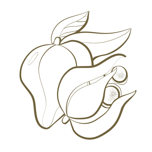 插画轮廓线素描可食用的国家牙买加水果烧特写设计元素异国植物自然风格包装图片下载