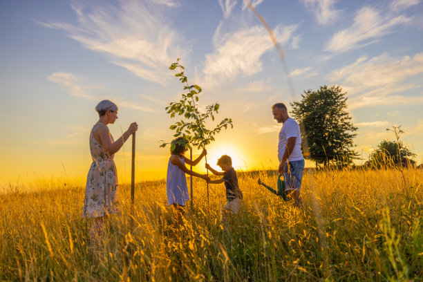 父母看着孩子们在草地上种树图片下载