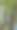 樱桃是夏天最美味的水果之一。图片下载