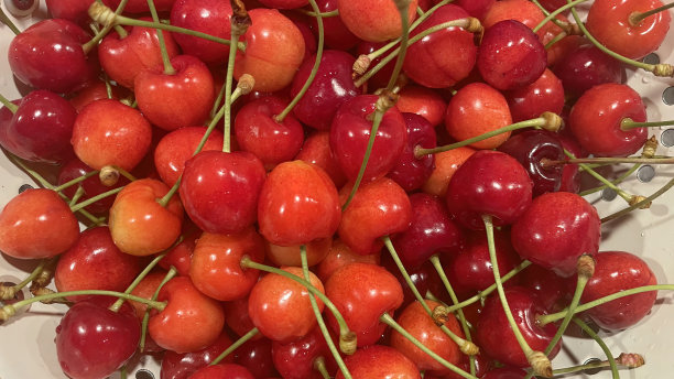 樱桃是夏天最美味的水果之一。图片下载