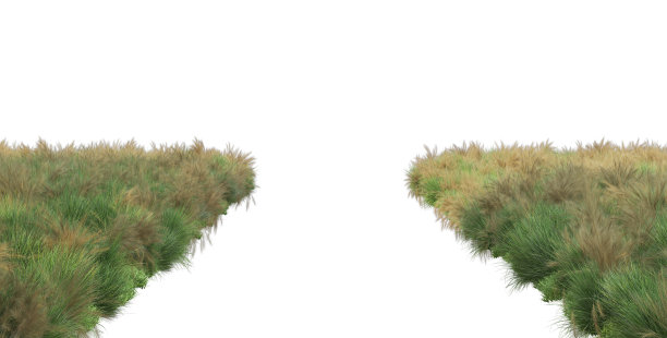 白色背景上的草地图片下载