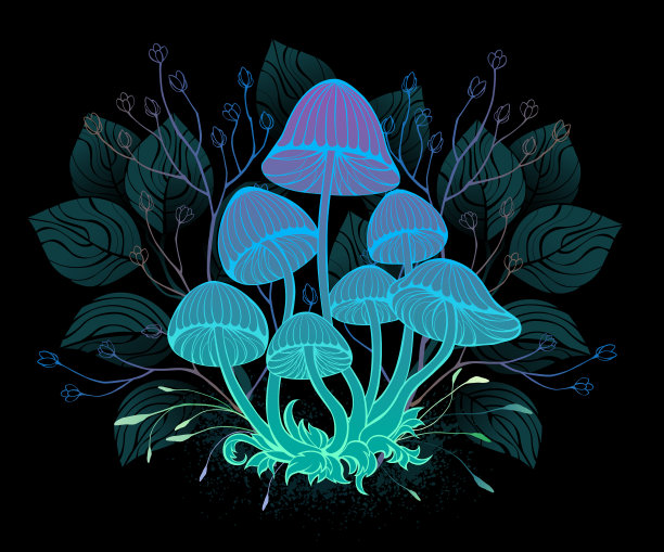 毒菌在灌木丛中图片下载