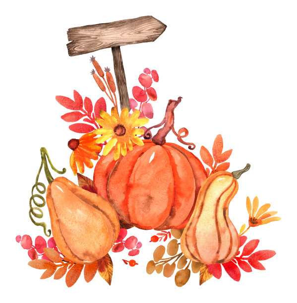 水彩插图。图片下载