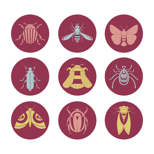 几何昆虫平面矢量插图图标集图片下载