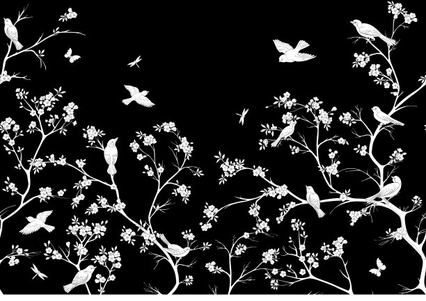 樱花枝顶着天空图片下载