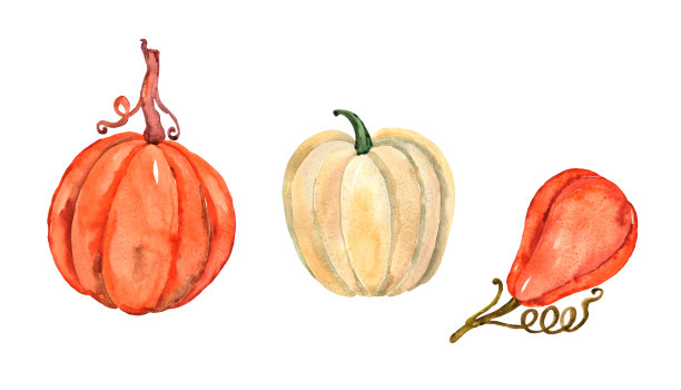 水彩插图。图片下载