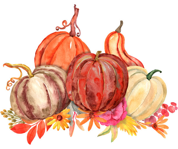 水彩插图。图片下载