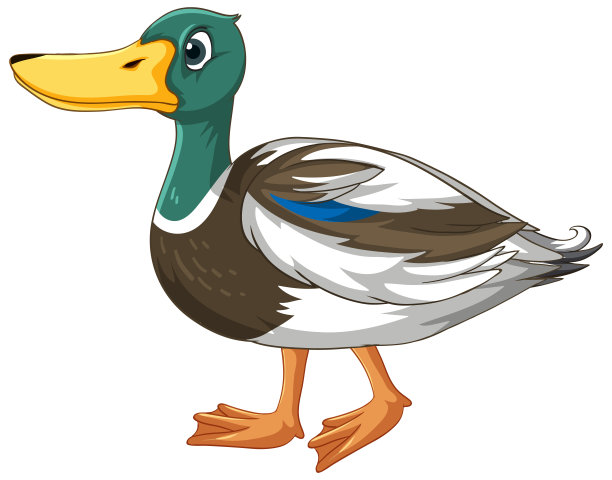 白底可爱的卡通人物鸭子图片下载