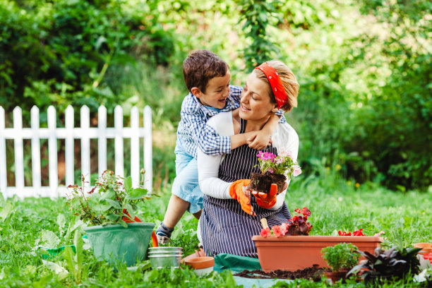 院子里的家庭园艺图片下载