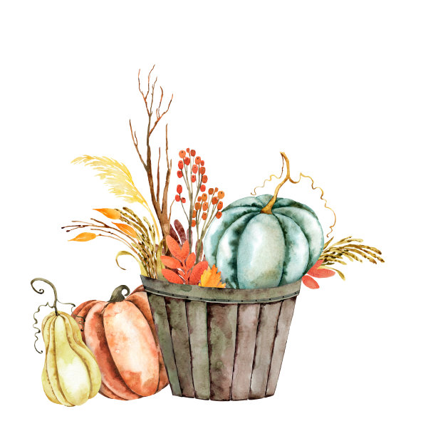 水彩插图。图片下载