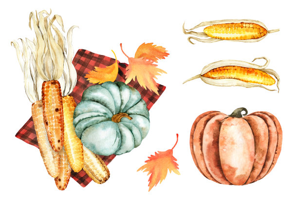 水彩插图。图片下载