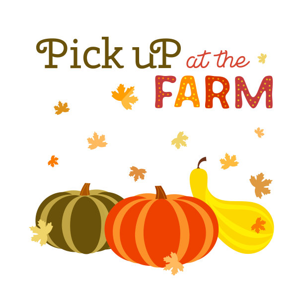 Pick up南瓜在农场平坦的颜色向量旗帜图片下载