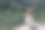 年轻的芭蕾舞演员在湖边的木舞台上跳舞图片下载