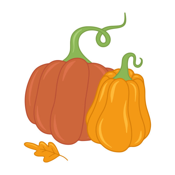 季节性秋季橙南瓜平矢量孤立插图图片下载