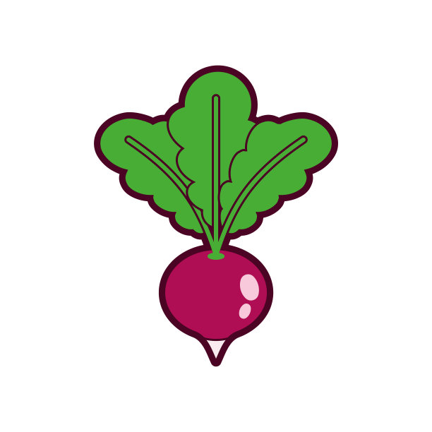 萝卜孤立。蔬菜花园植物矢量插图。图片下载