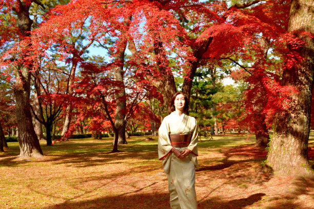 穿着和服的日本女子欣赏京都秋叶的颜色图片下载