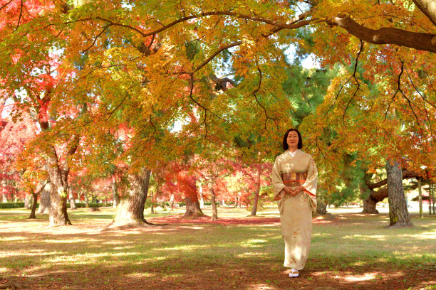 穿着和服的日本女子欣赏京都秋叶的颜色图片下载