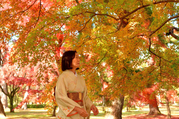 穿着和服的日本女子欣赏京都秋叶的颜色图片下载