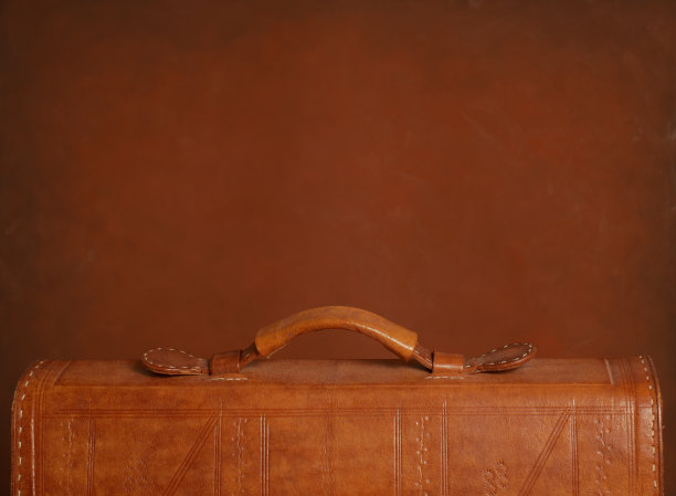 小皮包里图片下载