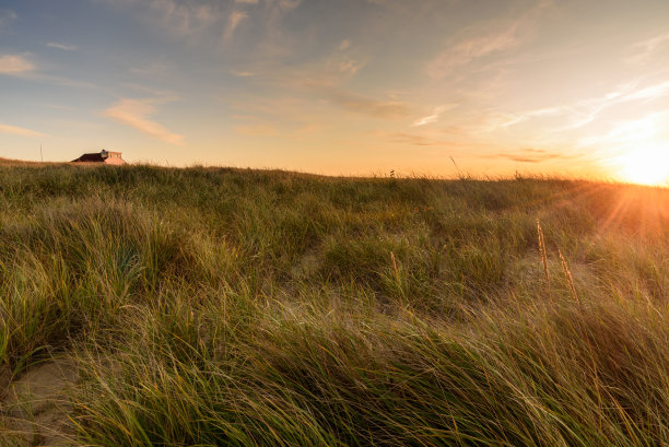 秋天日落时长满草的海岸沙丘图片下载