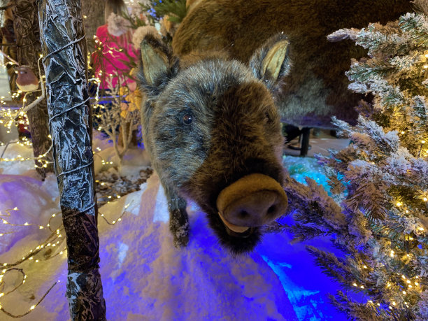 圣诞装饰用玩具野猪，小圣诞树和彩灯花环。圣诞节和新年快乐的概念。形象设计。图片下载