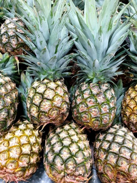 新鲜菠萝水果图片下载