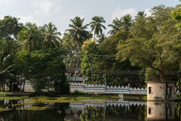 湖边的宁静图片下载