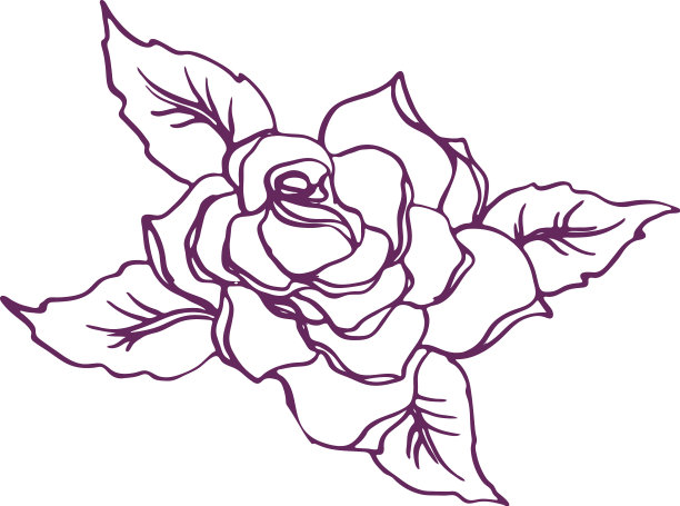 写实风格的玫瑰花线条艺术形象图片下载