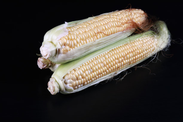 摄影棚内玉米穗图片下载
