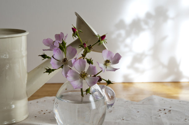 桌上的玻璃容器里装着粉红色的玫瑰图片下载