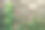 红砖墙上的藤蔓图片下载