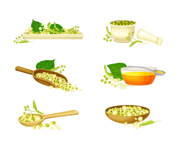 小叶椴树或椴花具图片下载