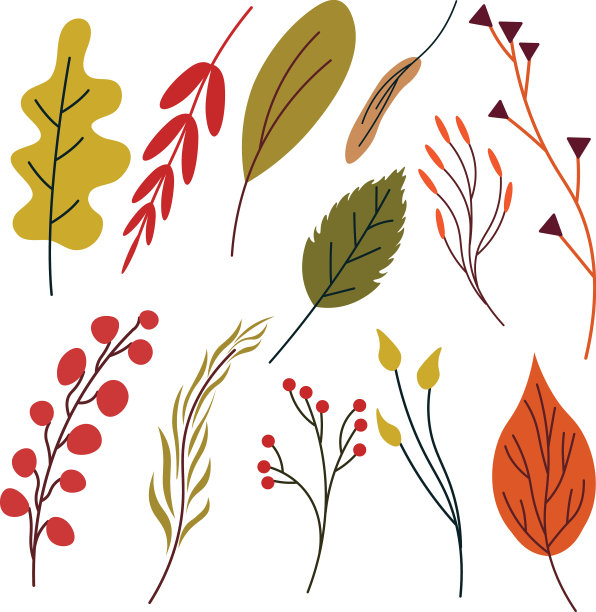 秋季植物组图片下载