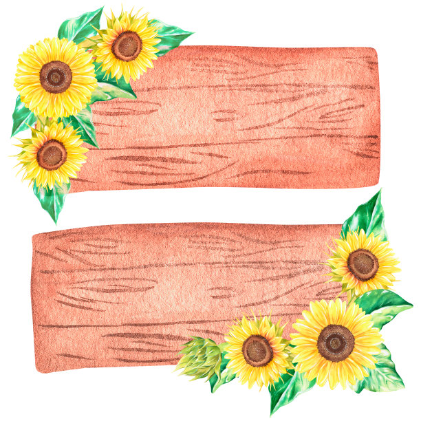 有向日葵的木片。水彩植物插图。孤立在白色背景上。图片下载