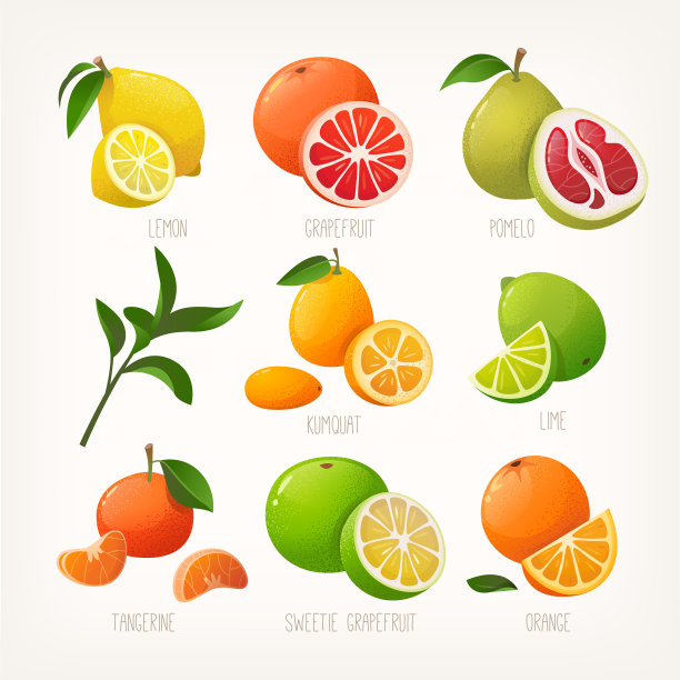 收藏五颜六色的柑橘图片下载