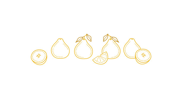 用线条画柚子整体和切割图片下载