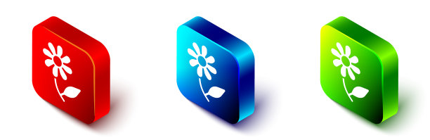 等距花图标孤立在白色背景图片下载