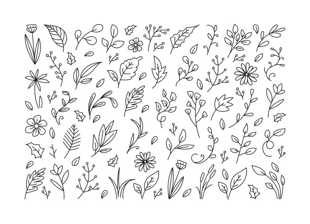 叶子花卉涂鸦集，植物叶子元素，手绘叶子和花卉图标收集图片下载
